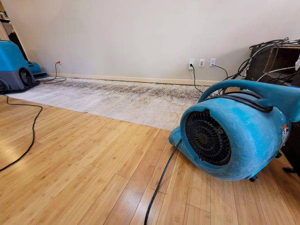 Reliable Basement Flood Cleanup contractor in Johnstown, PA by Hirex Water Damage