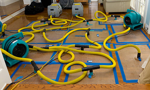 Professional Basement Flood Cleanup technician working in Johnstown, PA